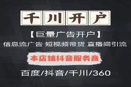 成功SEM服务案例分析报告